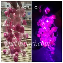 Rose Fairy Led Light