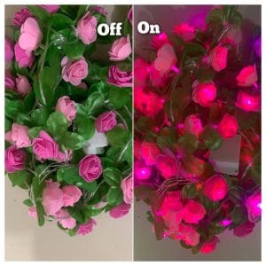 Leaf Rose Fairy Led Golden Colour Light Pink & Deap pink Flower